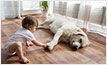 Online flooring is indispensable for environmental protection and economy